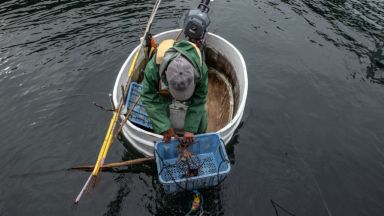 Япония: За риба с традиционните лодки-вани (снимки)