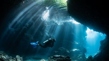 Американски и австралийски учени откриха небостъргач от корали недалече от