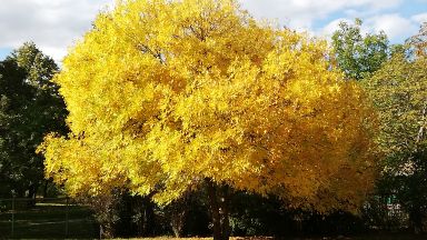 Много хора казват че есента е топлата връзка между лятото
