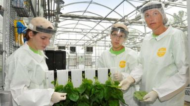 Medicago биофармацевтична компания със седалище в Квебек Сити обяви че