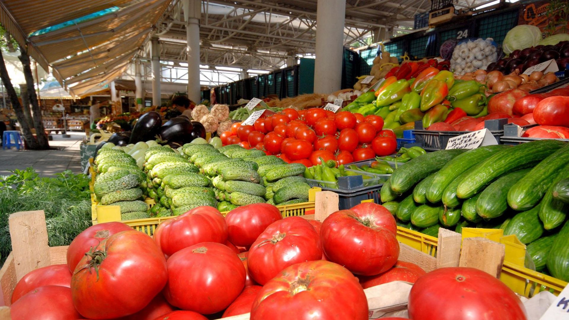 Скоро няма да има български краставици и домати по пазарите ни