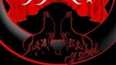 Френското правителство ще обяви в сряда забрана на турското крайно