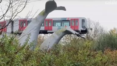 Скулптура на опашка на кит "улови" дерайлирал влак (видео)