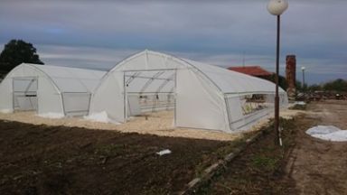 3 нови оранжерии за производство на цветя допълват Зелената система