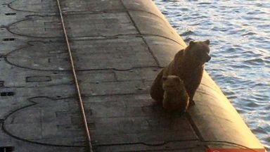 В Рибяшие където се намират ядрените подводници на руския Тихоокеански