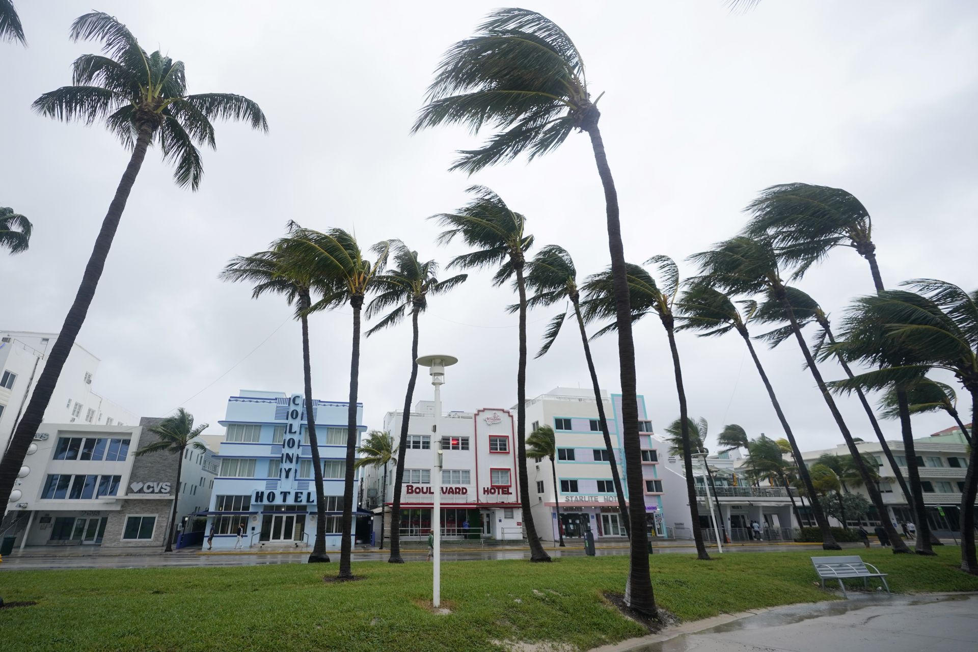 Палмови дървета се люлеят от вятъра пред историческите хотели в стил Арт Деко в неделяпрочутия Южен плаж на Флорида