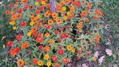 Последните месеци на годината са Есента навън е прекрасна а