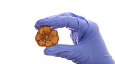 Халюциногенът Аяхуаска се оказа полезен за мозъка