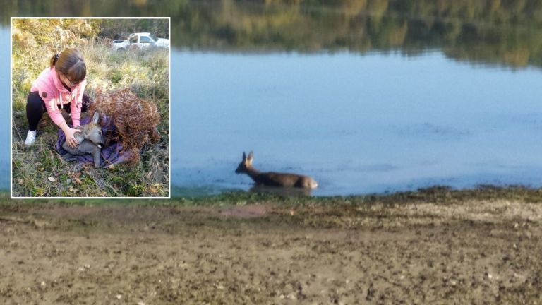 След часове борба добри хора с задружни усилия успяха да