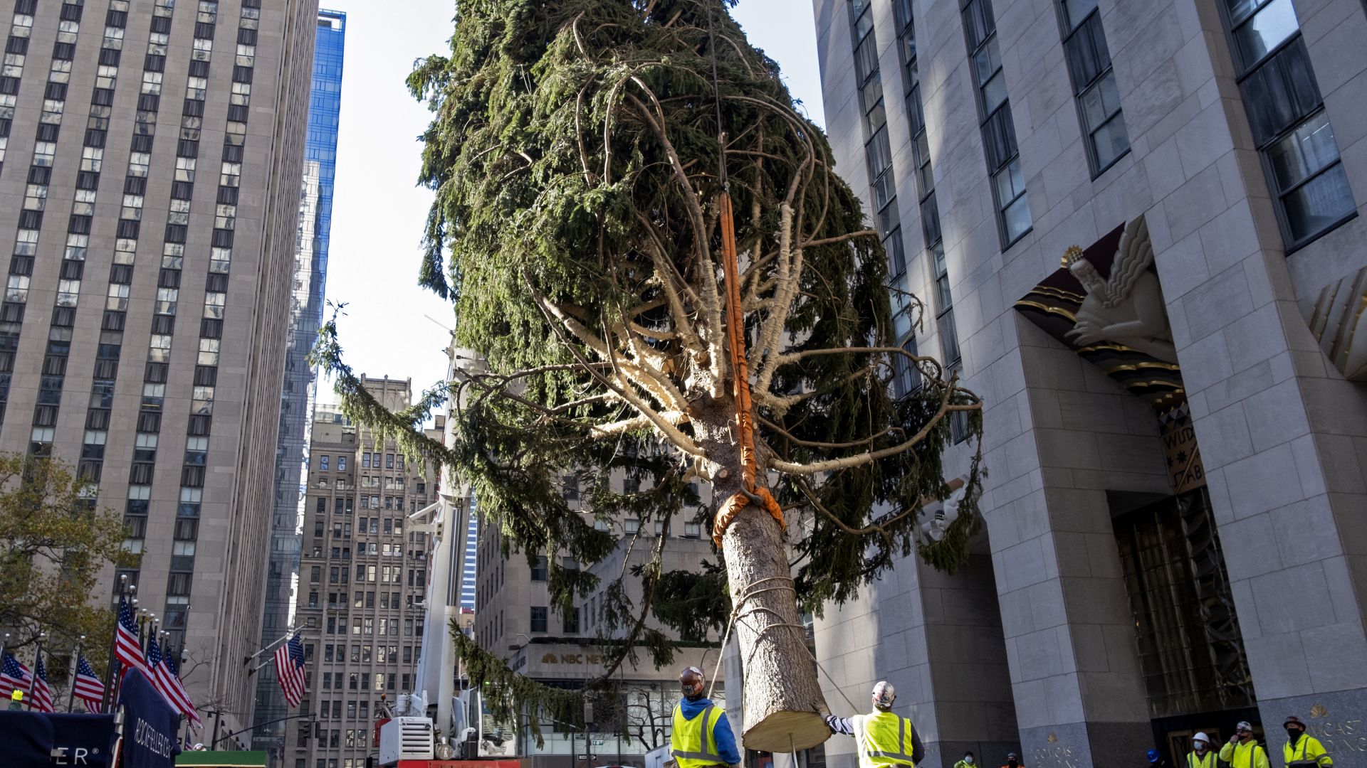 Поставиха коледното дърво - "символ на надеждата и духа" на Ню Йорк (снимки и видео)