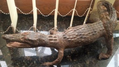 Териториална дирекция Северна морска във Варна обяви публична продажба чрез