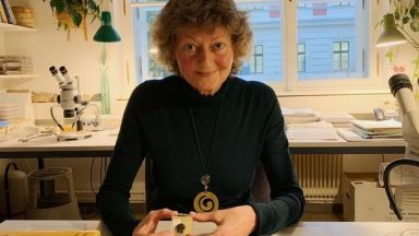 Няколко дни преди Деня на Ябълката който в Австрия се