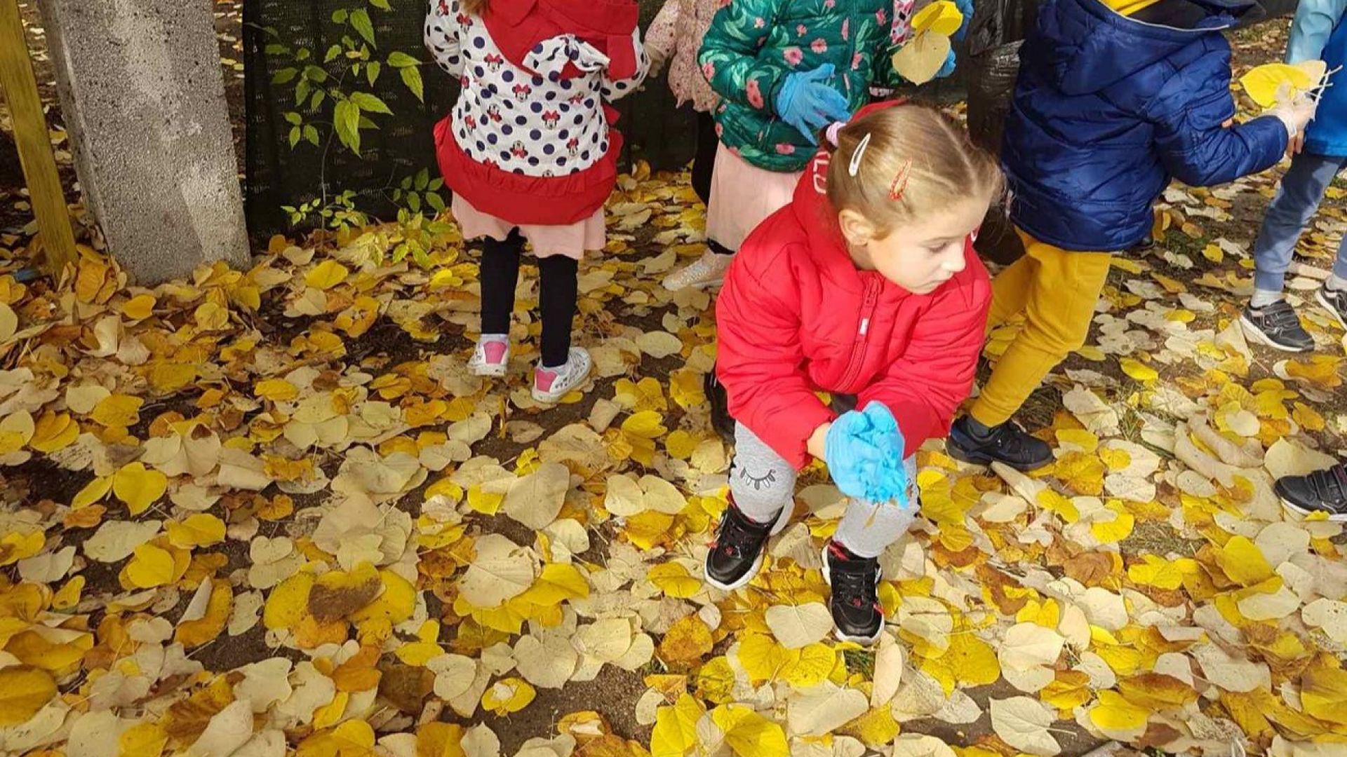 Детските градини в Бургас ще компостират листата на двора (снимки)