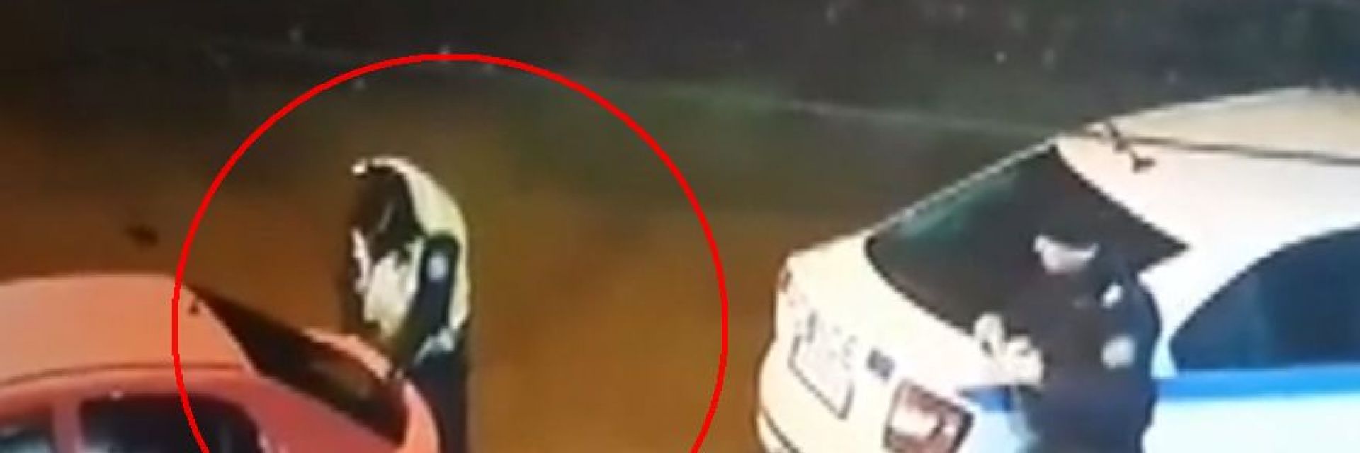 МВР прави проверка след клип как полицай взема емблема на кола (видео)