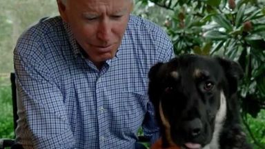 Избраният за президент на САЩ Джо Байдън получи лека фрактура