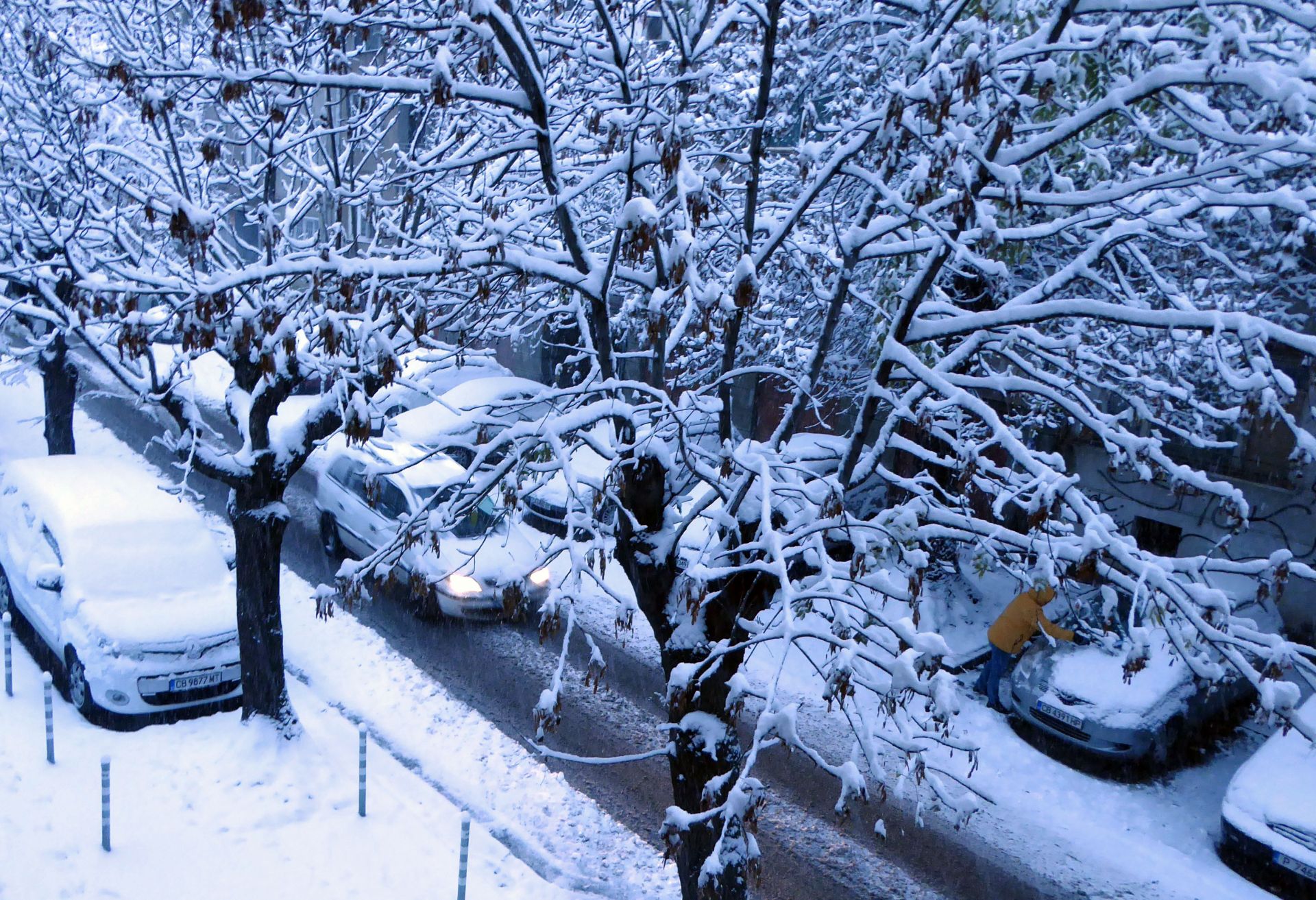 Първи сняг в София