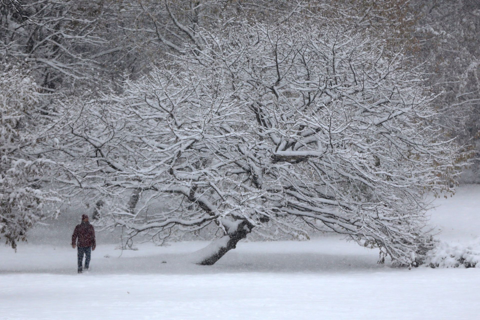 За района на София прогнозата предвижда снежната покривка да достигне до 10-12 сантиметра