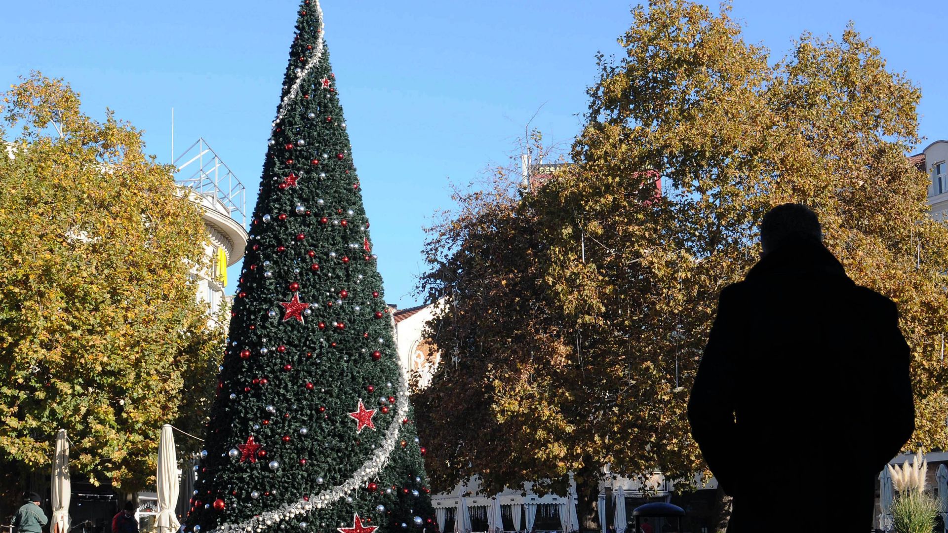 13-метрова коледна елха грейва с хиляди светлини в Пловдив