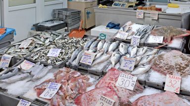 В навечерието на Никулден София ще бъде домакин на рибен