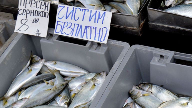Тази година, заради богатия улов хит е вкусният чернокоп, който се ...