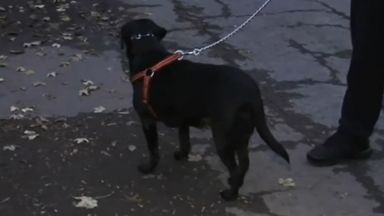 Собственици на домашни любимци от бургаския квартал Долно Езерово се