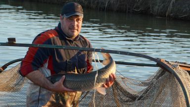 Шаранът е традиционната риба за трапезите на българите за Никулден