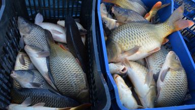 От утре 2 декември до 6 декември включително Българската агенция