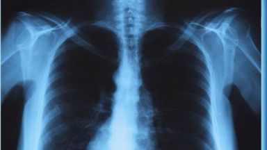 От 8 до 9 сутринта и от 15 до 16