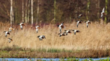 Европейската комисия съобщи че е решила да предяви иск пред