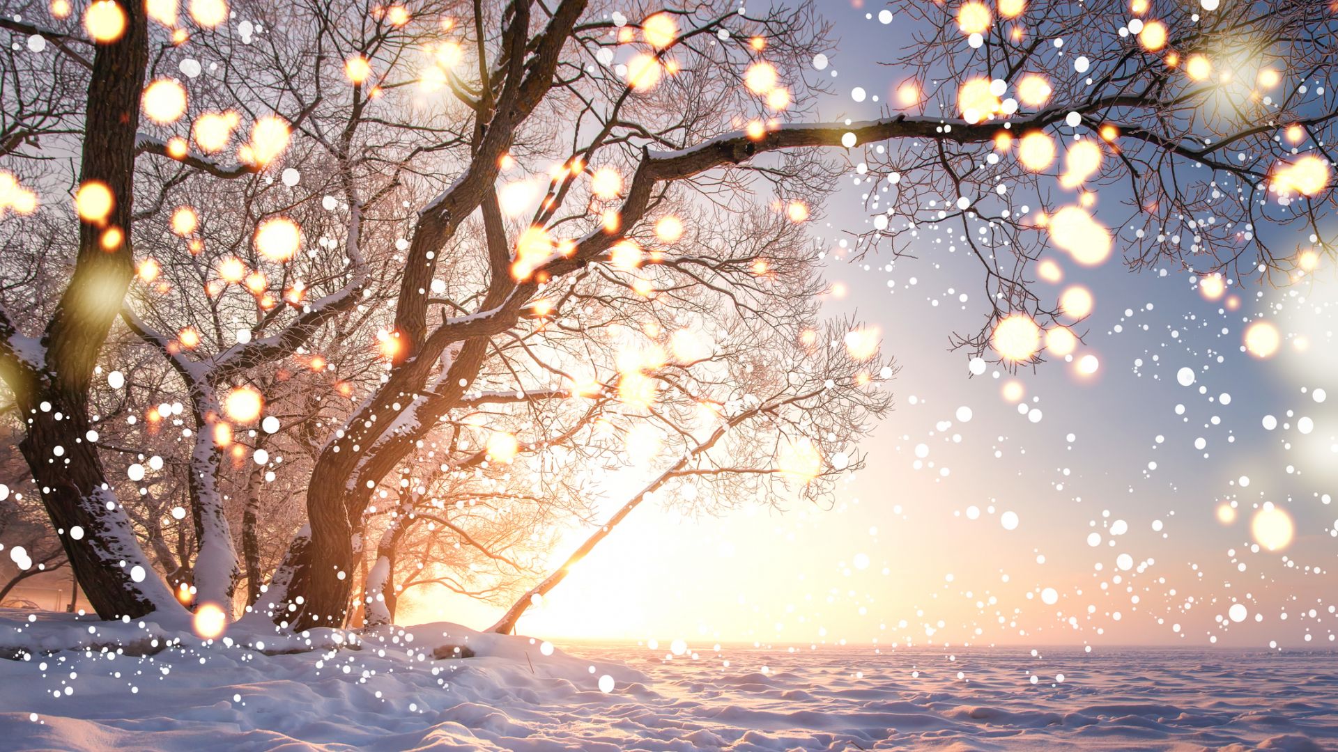 По Коледа - дъжд, сняг и поледици, избягвайте пътувания в планините