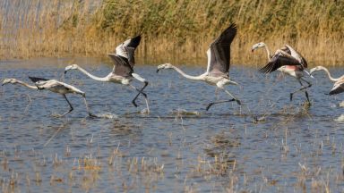 Езерото Ван в Арменското плато някога в арменските земи в