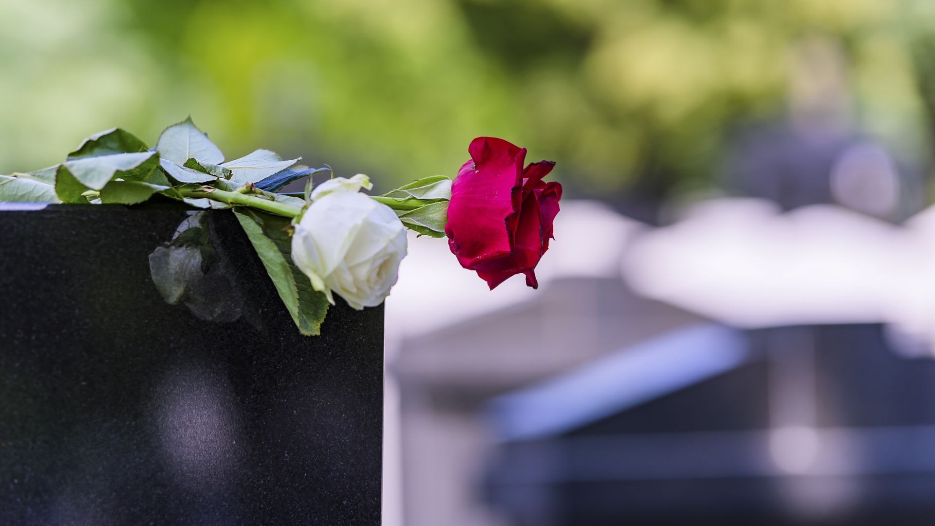Гняв и възмущение в Германия, след като погребаха неонацист в гроба на евреин