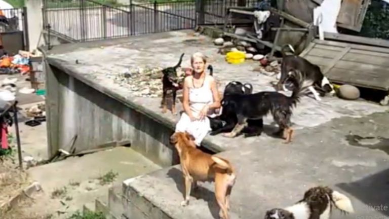 Глутница кучета нападнаха бременна жена и малко дете в Костенец.
