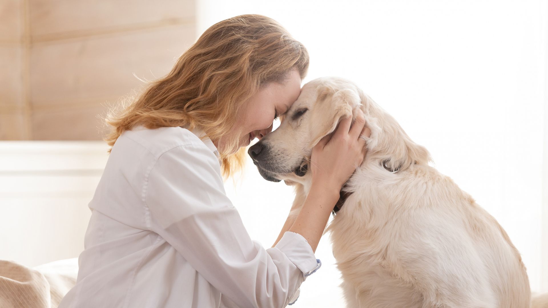 Смарт нашийник анализира кучешкия лай и емоционалното състояние на домашния любимец