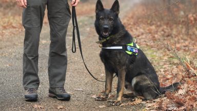 Единственото куче в България специализирано в откриването на отрови има