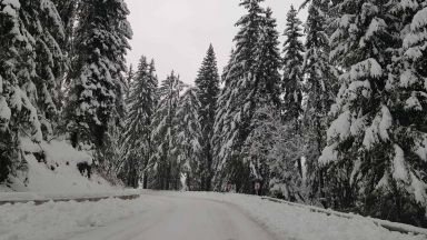 Сняг вали по високите места в област Смолян и снежната