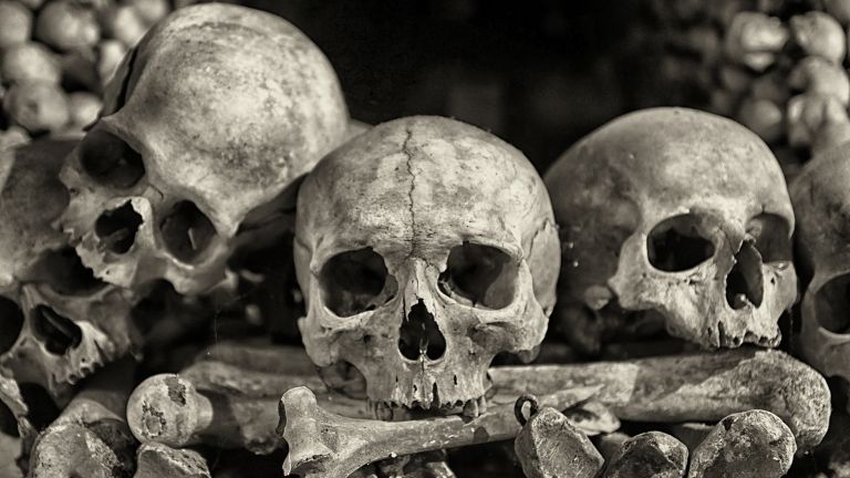 Мексикански археолози откриха нов фрагмент от стена, изградена от човешки