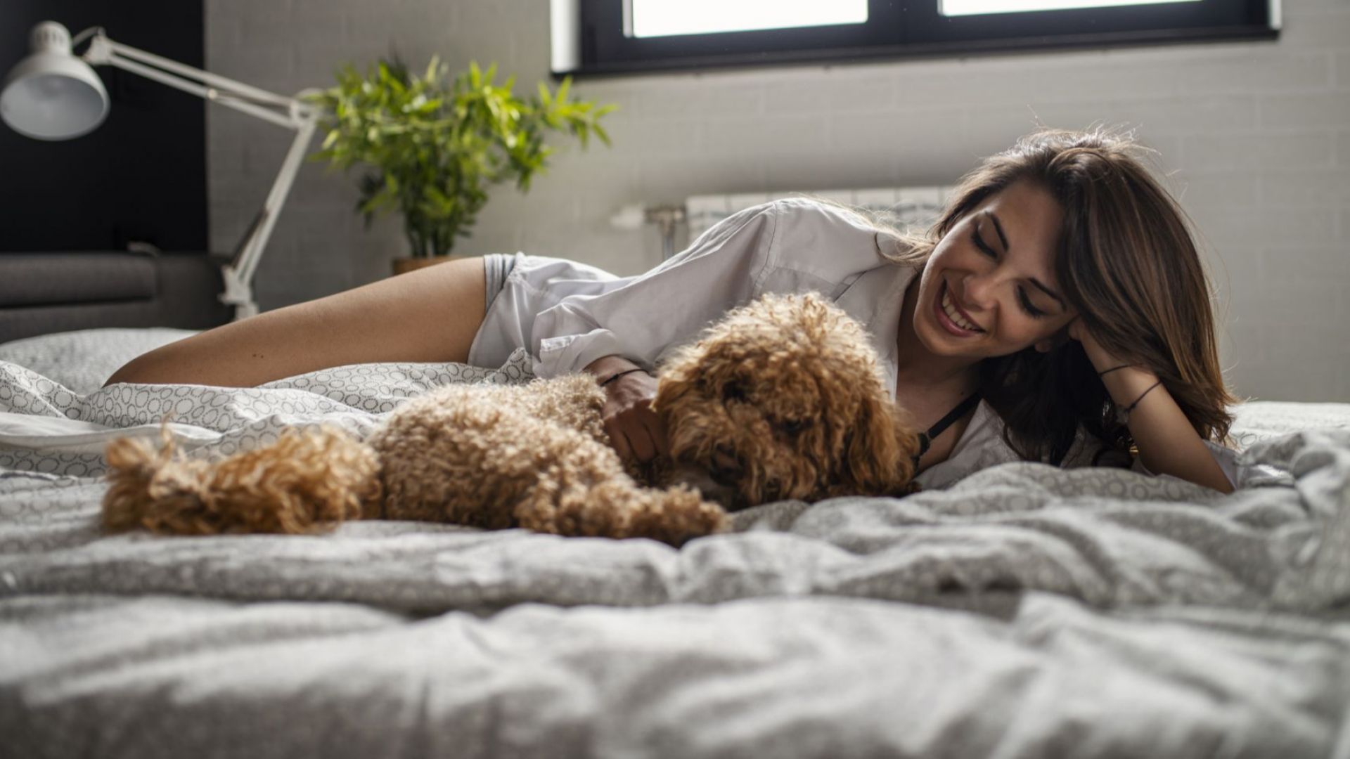 Допускането на кучетата до леглата ни е полезно за нашето здраве