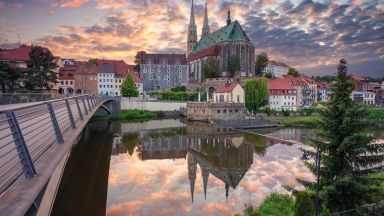 Сушени гъби и сладкиш с подправки и захаросани плодове Някои