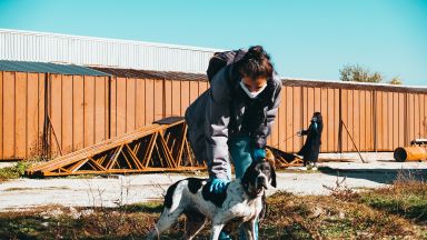 Доброволци от TELUS International в България помагат на кучета, настанени в приют 