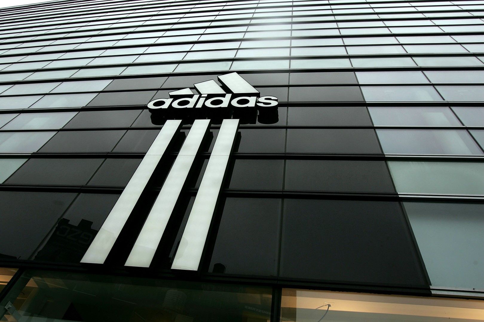 Adidas придоби Reebok през 2006 година за $3.8 милиарда с целта да увеличи приходите си от продажби на маратонки и дрехи