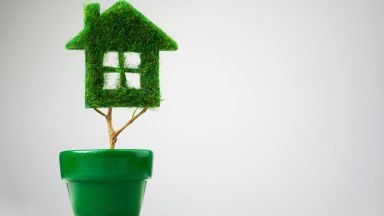 Чистият въздух води до по дълъг живот Замърсяването на въздуха е