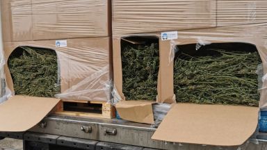 Два тона канабис открити в камион на "Дунав мост" (снимки)