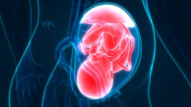 Частици микропластмаси са открити в плацентите на неродени бебета съобщи