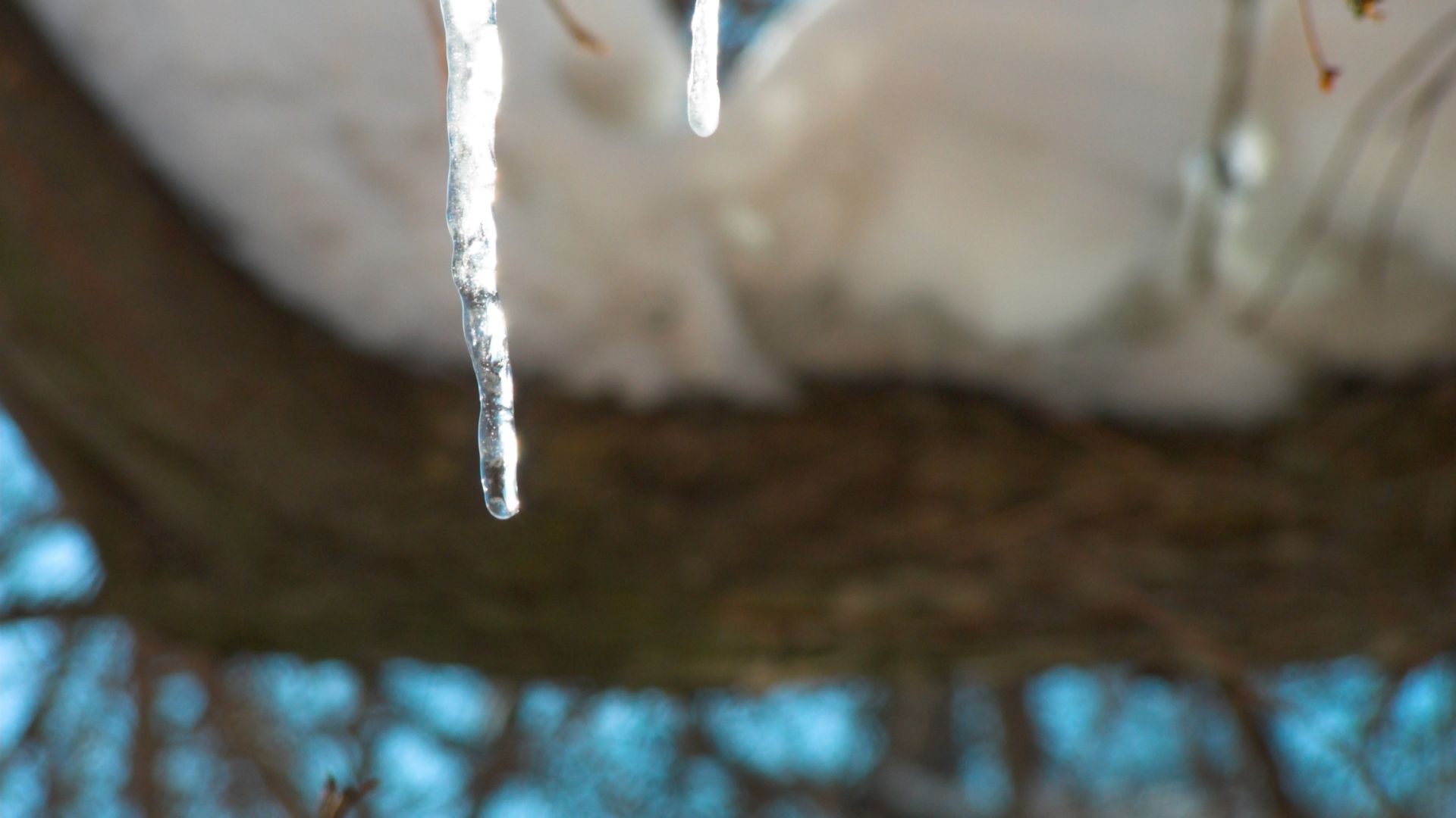 Мразовете отстъпват, постепенно се затопля до 10-15 градуса 