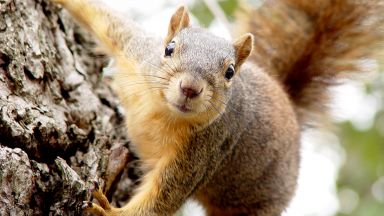 След пандемията локдауна и снежната буря животът на нюйоркчани продължава