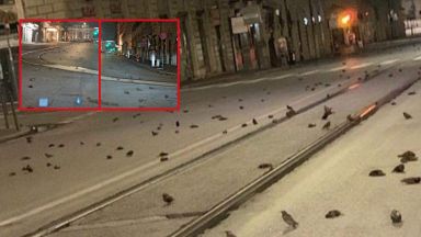 Данни за поражения от новогодишните фойерверки продължават да пристигат от