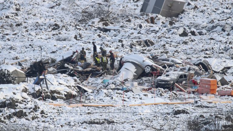 Малко куче беше открито живо в развалините на свлачището, което