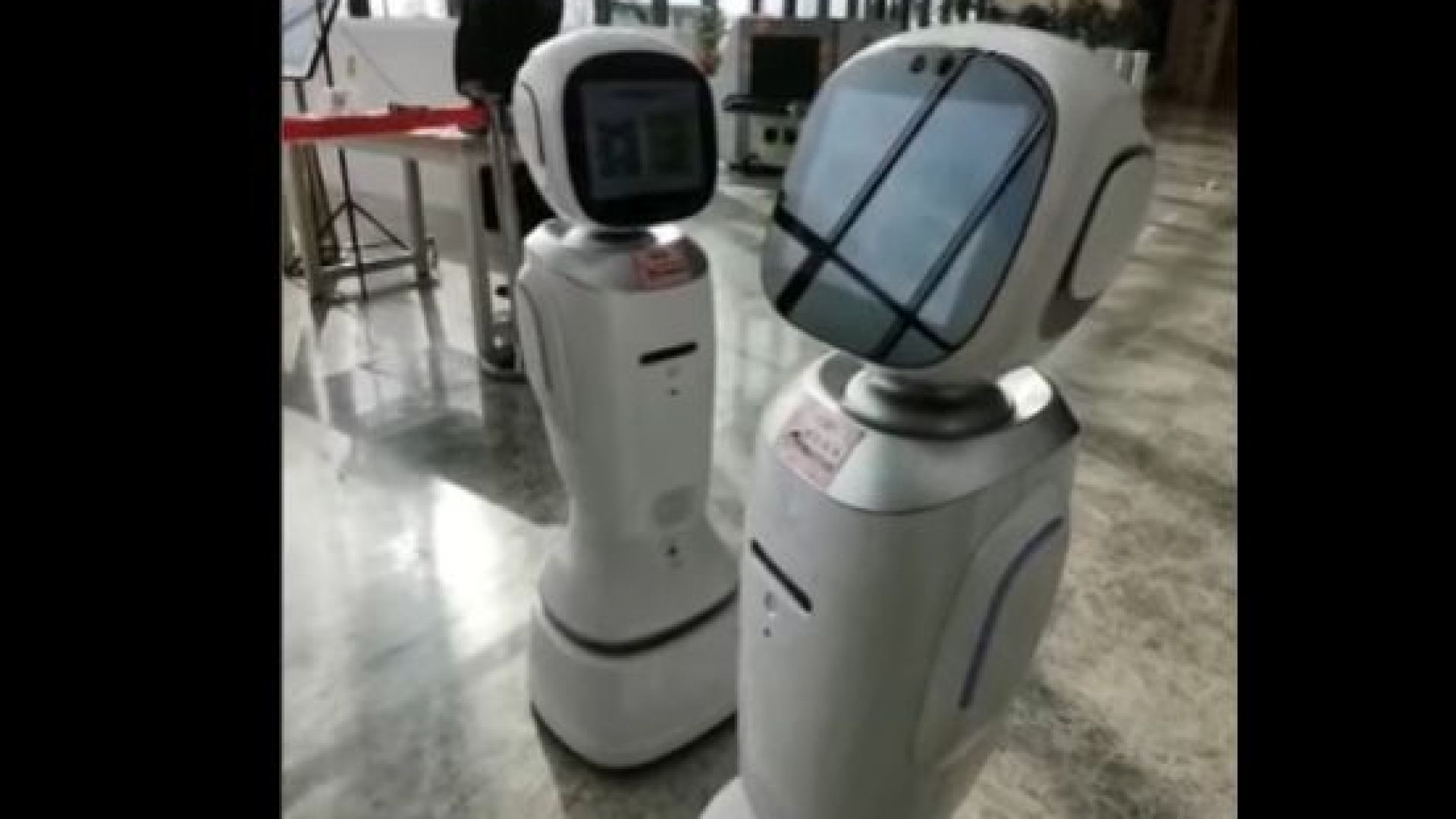 Два робота-библиотекари се скараха (видео)