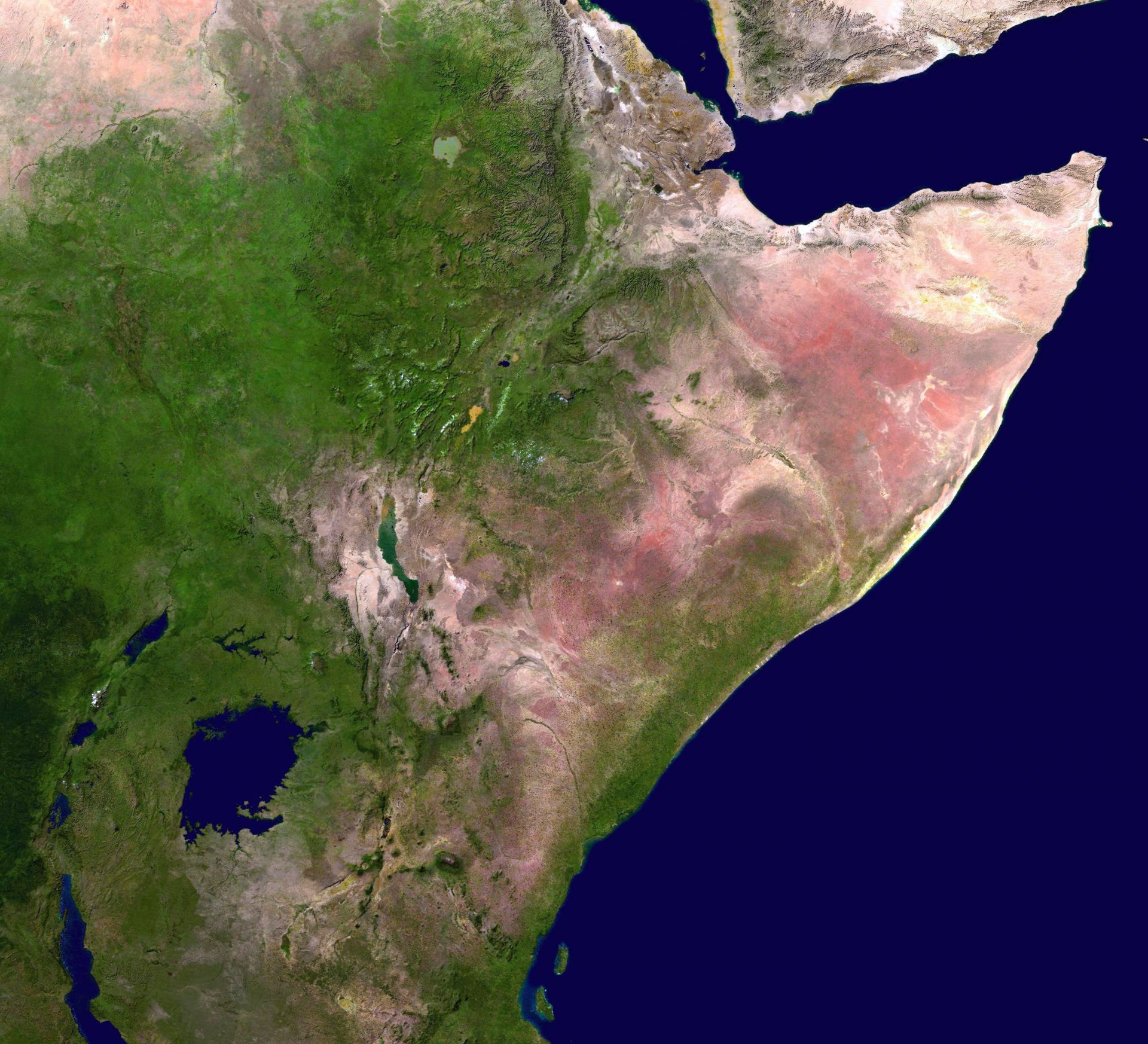 Сомалия, Етиопия, Кения, Уганда и части от Източна Африка